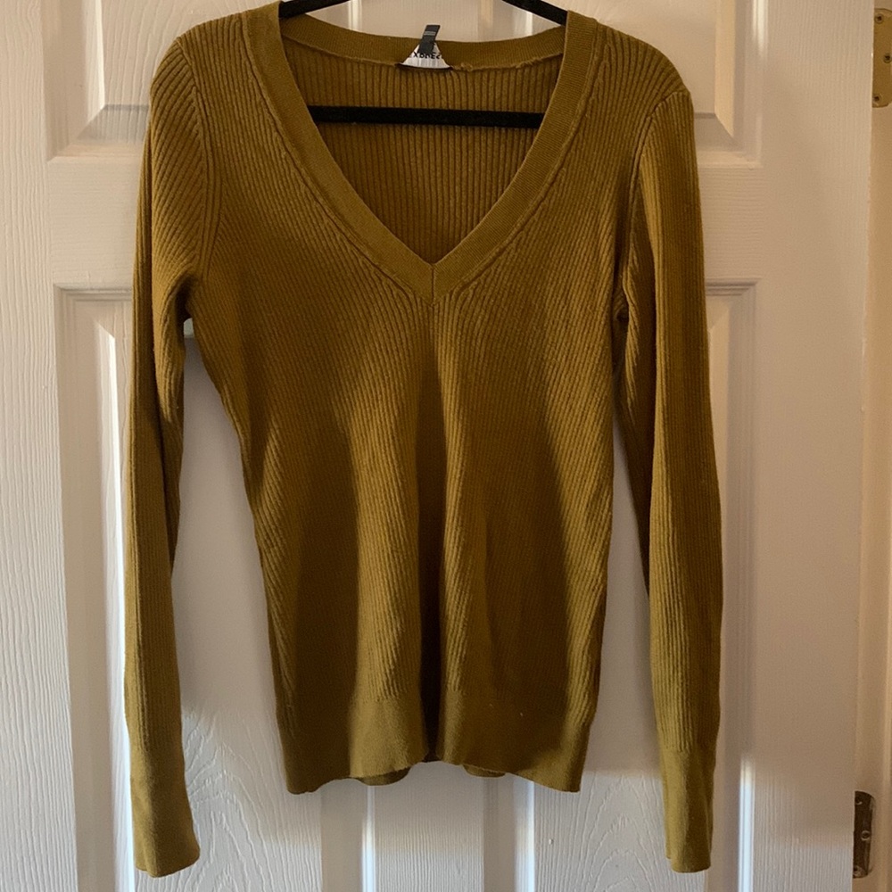 Express V-neck ribbed sweater